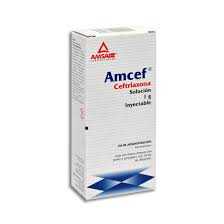 AMCEF INY. 1 G. I.V. C/1 FCO. AMP. Y 10 ML.