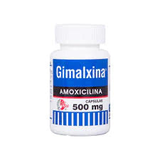 GIMALXINA 60 TAB 500 MG